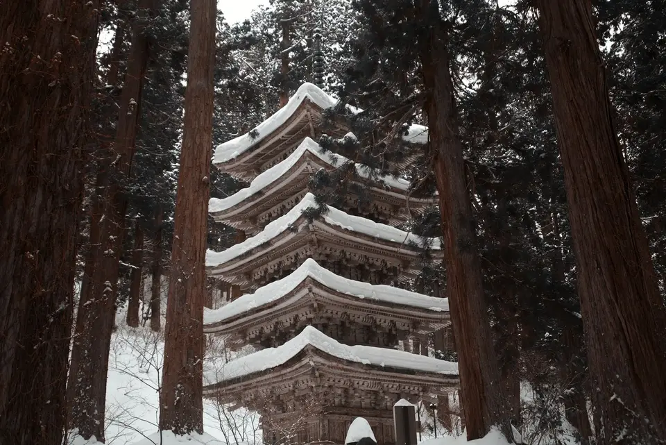 The five-storey pagoda on Mount Haguro in snow among tall cedars