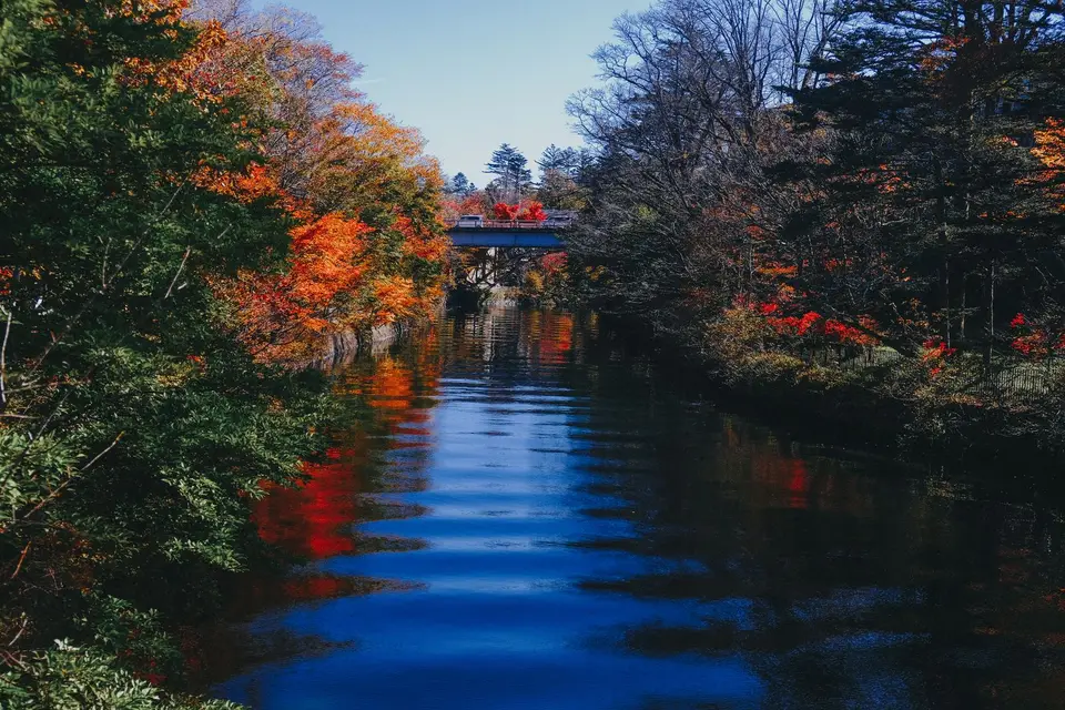 A bridge over a river framed by autumn trees in Nikko