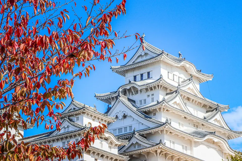 Himeji Castle behind autumn leaves