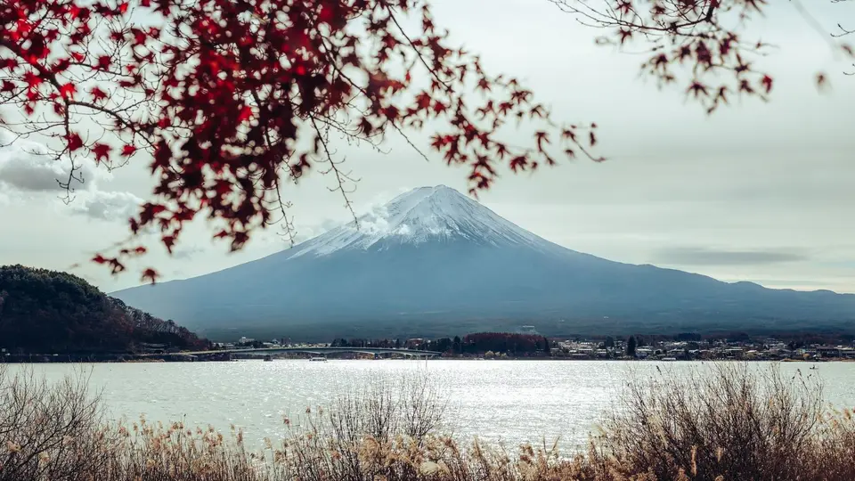 Mount Fuji reflected in a lake behind red autumn leaves